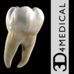 Dental Patient Education - BFEstéticaDental - TodoAndroid360